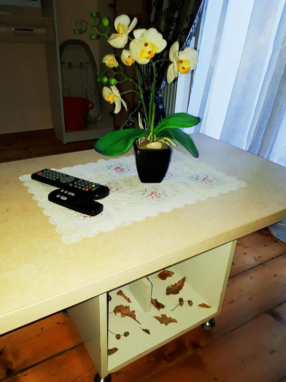 Apartment In The City Center Mini ايفانو - فرانكيفسك المظهر الخارجي الصورة
